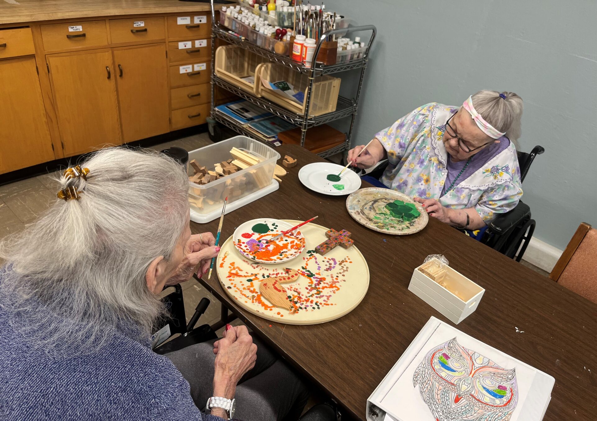 VMP Skilled Nursing Paint craft